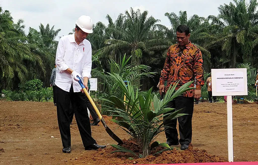 Negara Produsen Minyak Sawit Bersiap Hadapi Kebijakan Uni Eropa